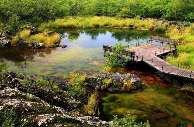 五大连池“饮水节”