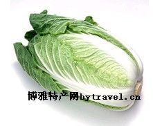 “玉翠牌”大白菜