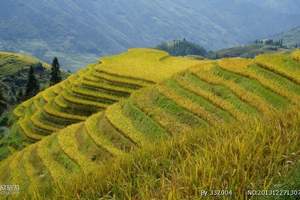 广西旅游攻略：桂林、龙胜、阳朔精华四日游（广州出发双飞/卧）