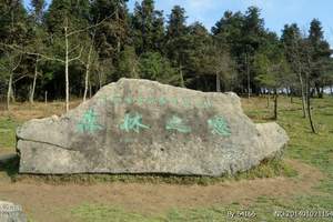 仙女山一日游_特价旅游_天坑，地缝一日游