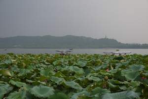 淄博旅行社到—豪华风情班 苏州杭州双水乡精华三日游