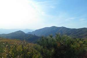 石家庄到北京香山二日游 体验金秋时节北京爬香山赏红叶 送保险