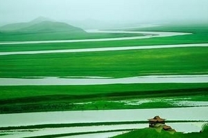 3天适合去哪里旅游 6月去花湖怎么样 红原若尔盖大草原3日游